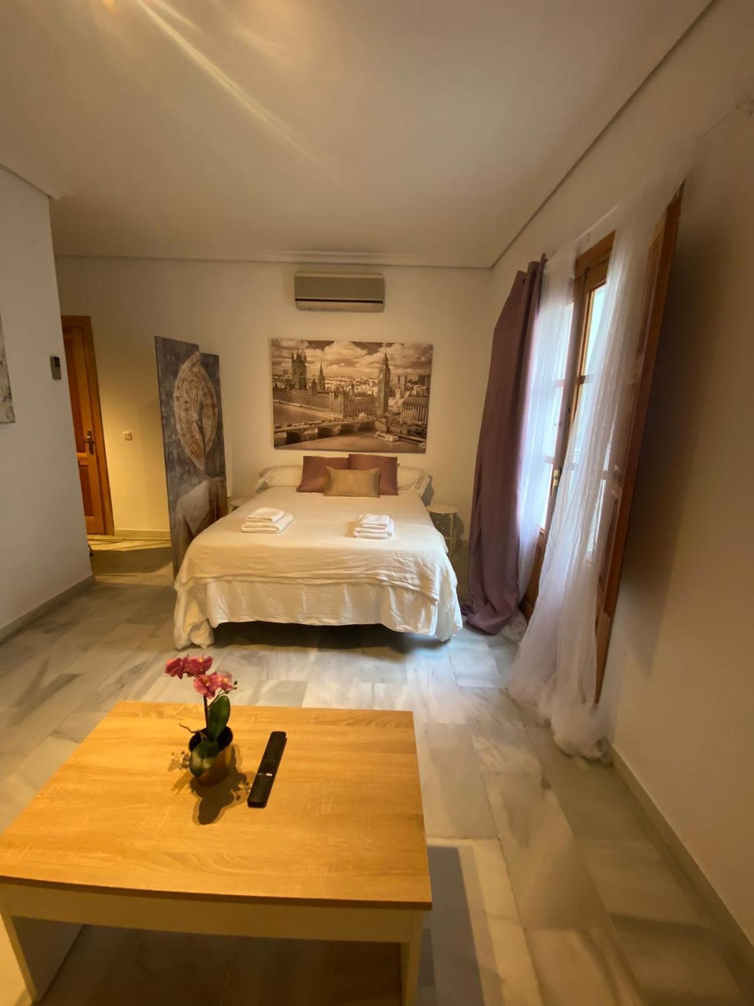 Magnifico Loft Sevillano En El Centro 外观 照片